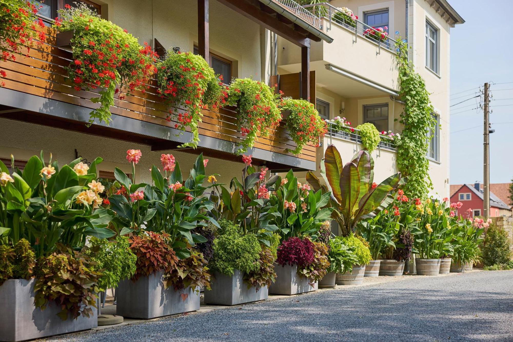 Hotel Garni Sonnenhof Reichenberg  外观 照片