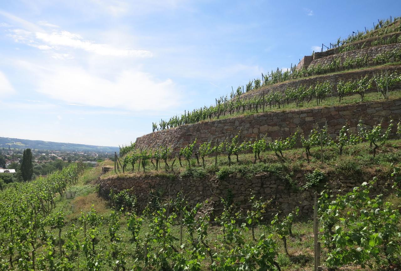 Hotel Garni Sonnenhof Reichenberg  外观 照片